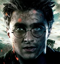 picture of harry potter